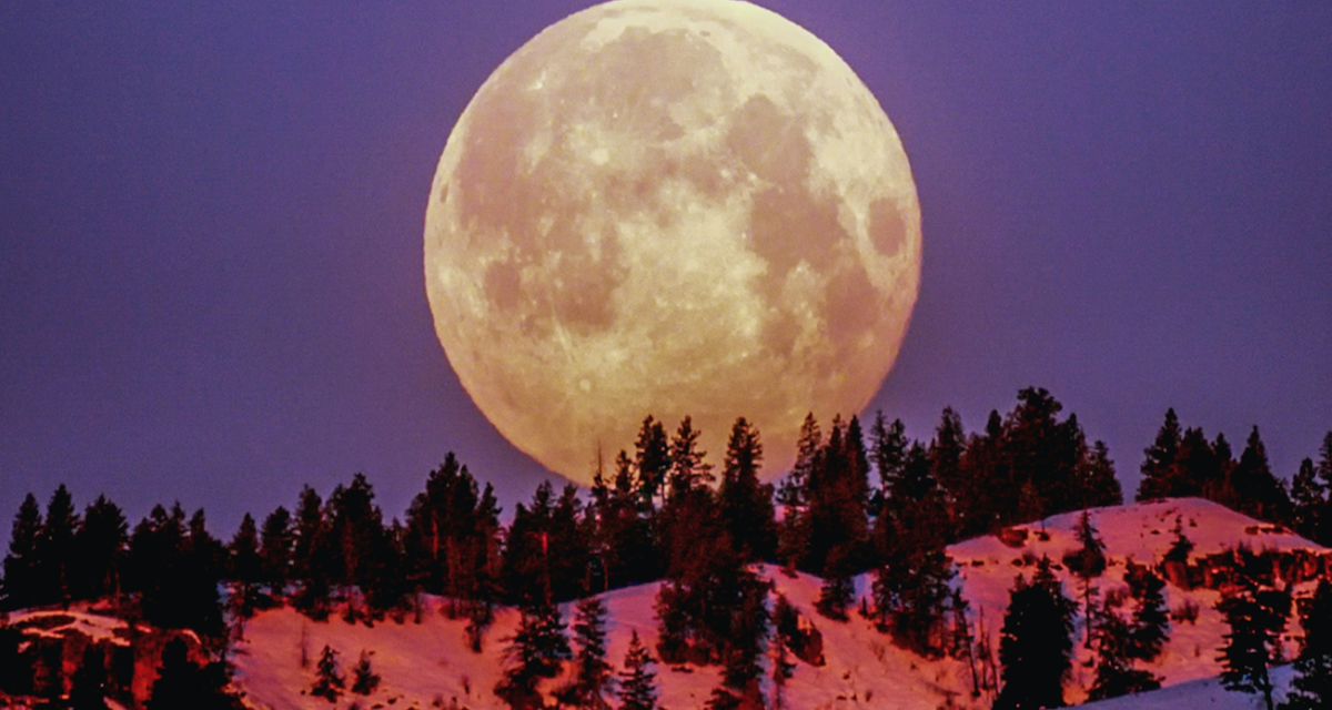 Harness The Leo Full Moon Energies To Manifest What You Want