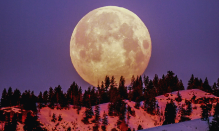 Harness The Leo Full Moon Energies To Manifest What You Want